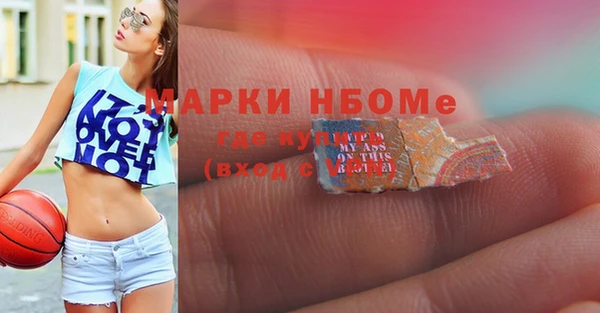 индика Аркадак