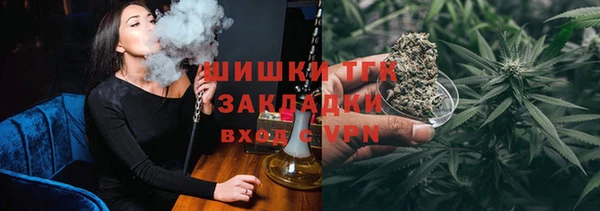 прущие грибы Алексеевка