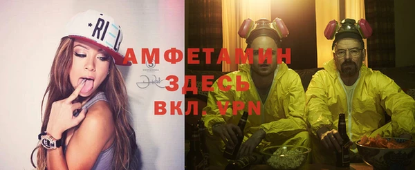 индика Аркадак