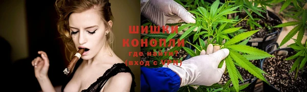 крисы Арсеньев