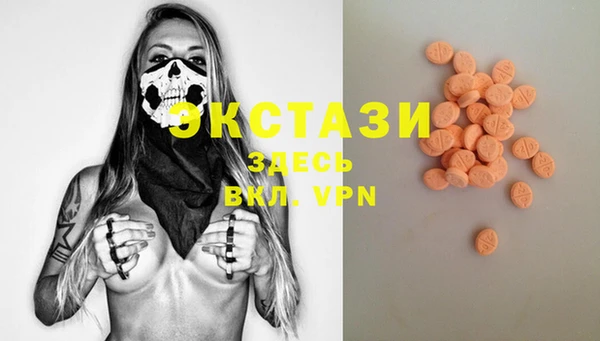 индика Аркадак