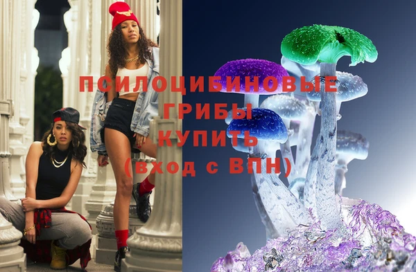 индика Аркадак
