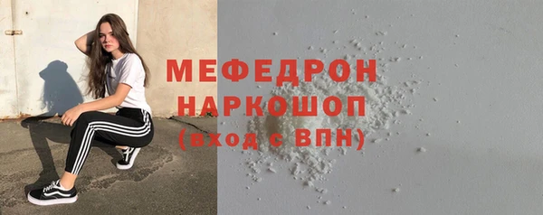 индика Аркадак