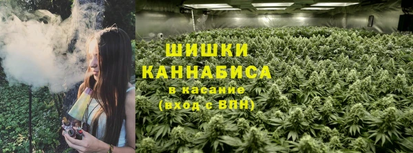 крисы Арсеньев