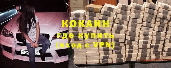 индика Аркадак