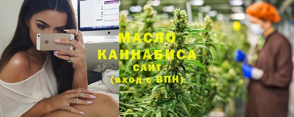 индика Аркадак