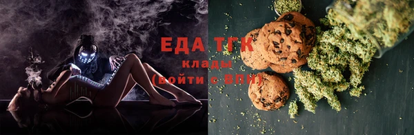 индика Аркадак