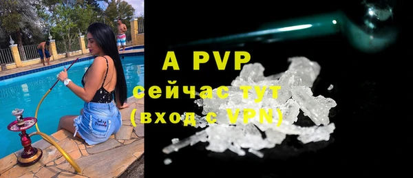 индика Аркадак